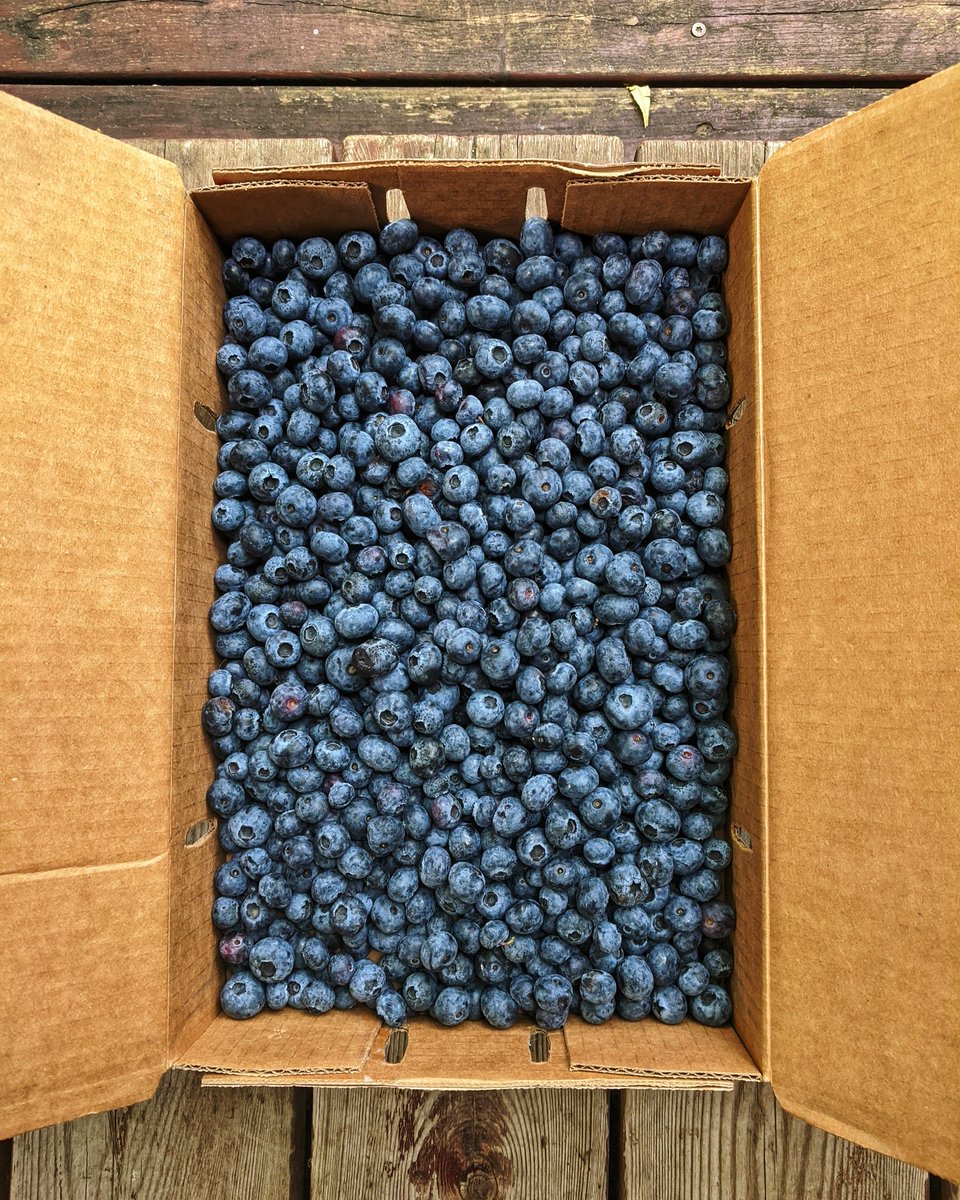 Andy Adams tweet media