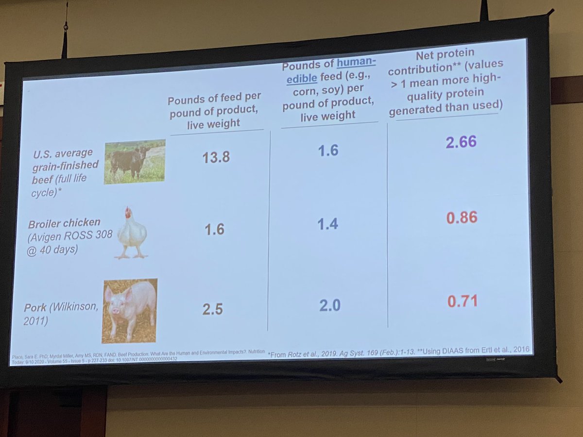 bencwilson's tweet photo. Dr Sarah Place shared some powerful stats this morning highlighting beef’s efficient environmental footprint, utilizing feed that isn’t edible for humans and providing a higher net protein contribution than mono-gastric livestock.  #CDNBeefconf https://t.co/LDlpz1HSsb