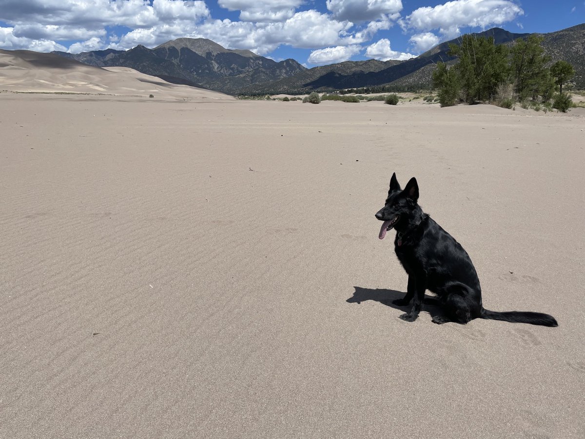K9SAR10's tweet photo. Great Sand Dunes National Park https://t.co/esiDxD1afv