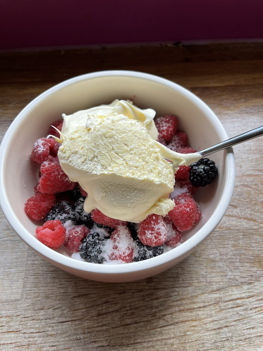 CurlySpanner007's tweet photo. Home grown blackberries and raspberries with a big dollop of clotted cream. #ketopudding https://t.co/CWDR0fW3TR