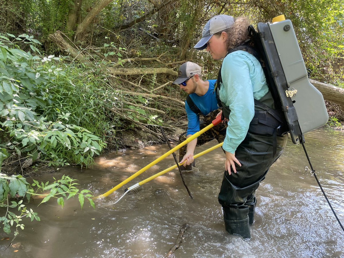 New semester, new research projects, and new students in the #AquaticEcologyandAstacologyLab. Sampling with new grad student Kathryn Freeman on her thesis project collecting life history info for crayfish of greatest conservation need in Louisiana. 🦞