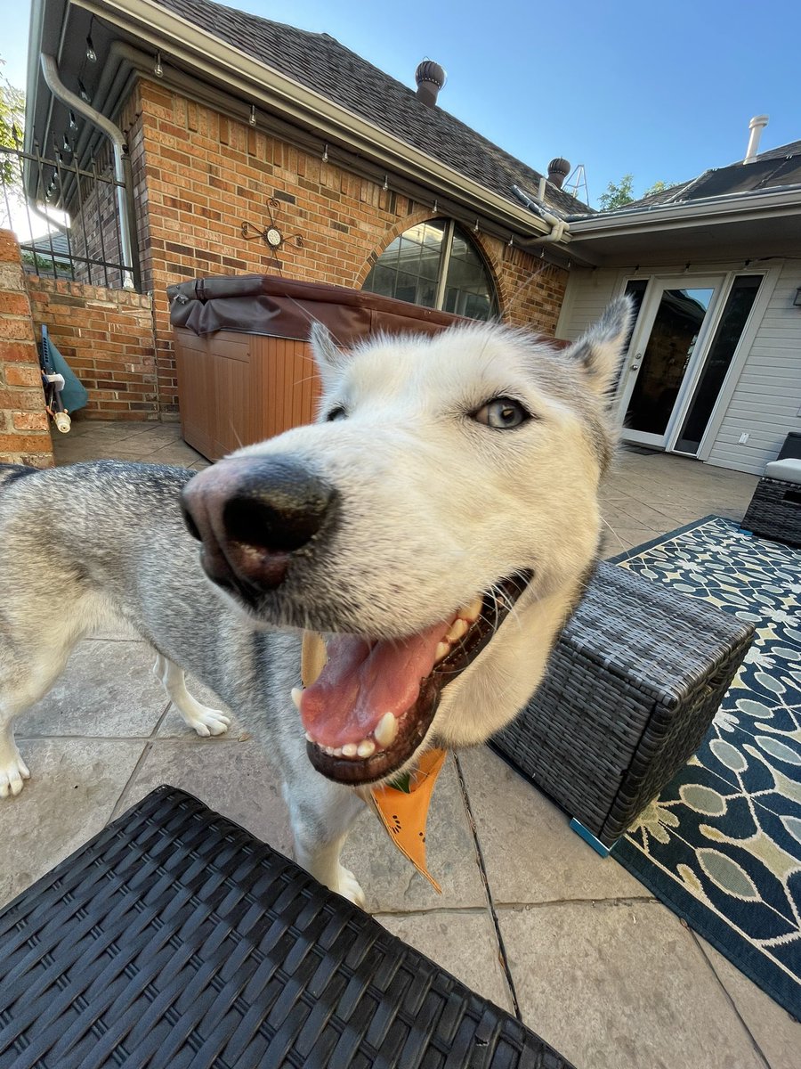 JaydaWatzlavik's tweet photo. My two favorite girls…Annie &amp; Layla🤍🥺 https://t.co/r0juLCI9l0