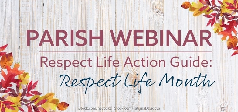 Help your parish or school celebrate Respect Life Month in October! Get easy ideas and ready-to-go tools during this one-hour webinar tomorrow, August 17 at 11:00 AM PT. usccb.zoom.us/webinar/regist…