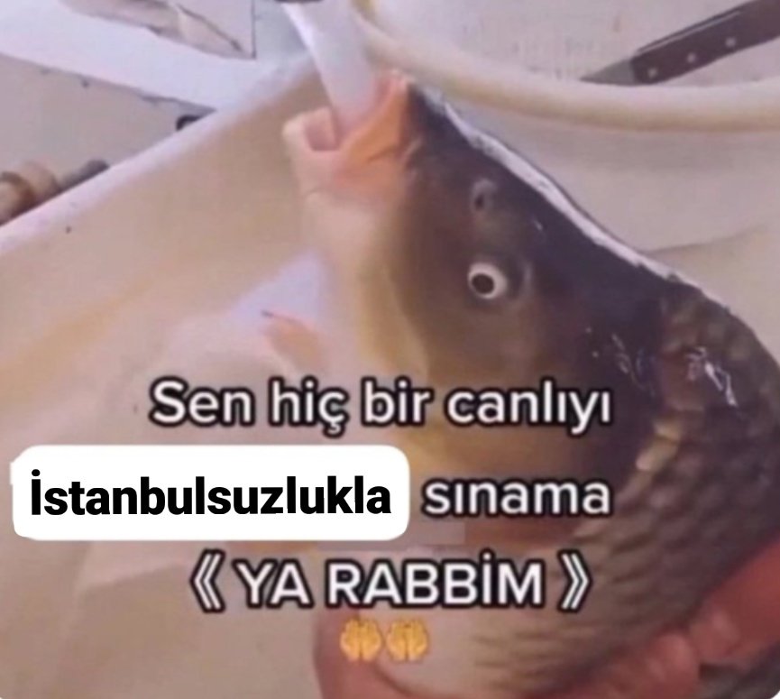 Denizli'ye geleli daha 2 gün anca oldu, sıcaklar yüzünden kafa şuraya kaydı bile