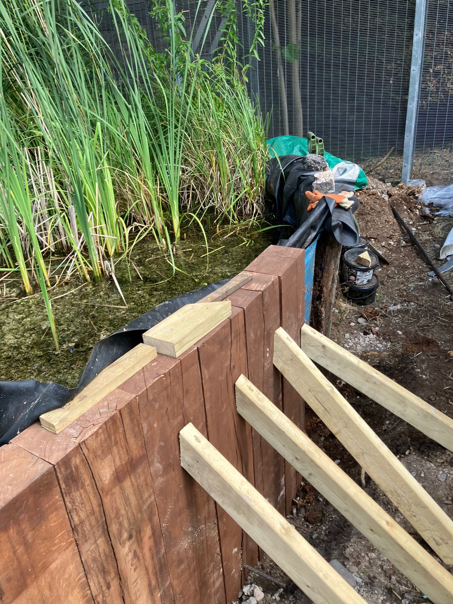 Lambeth TCV tweet media