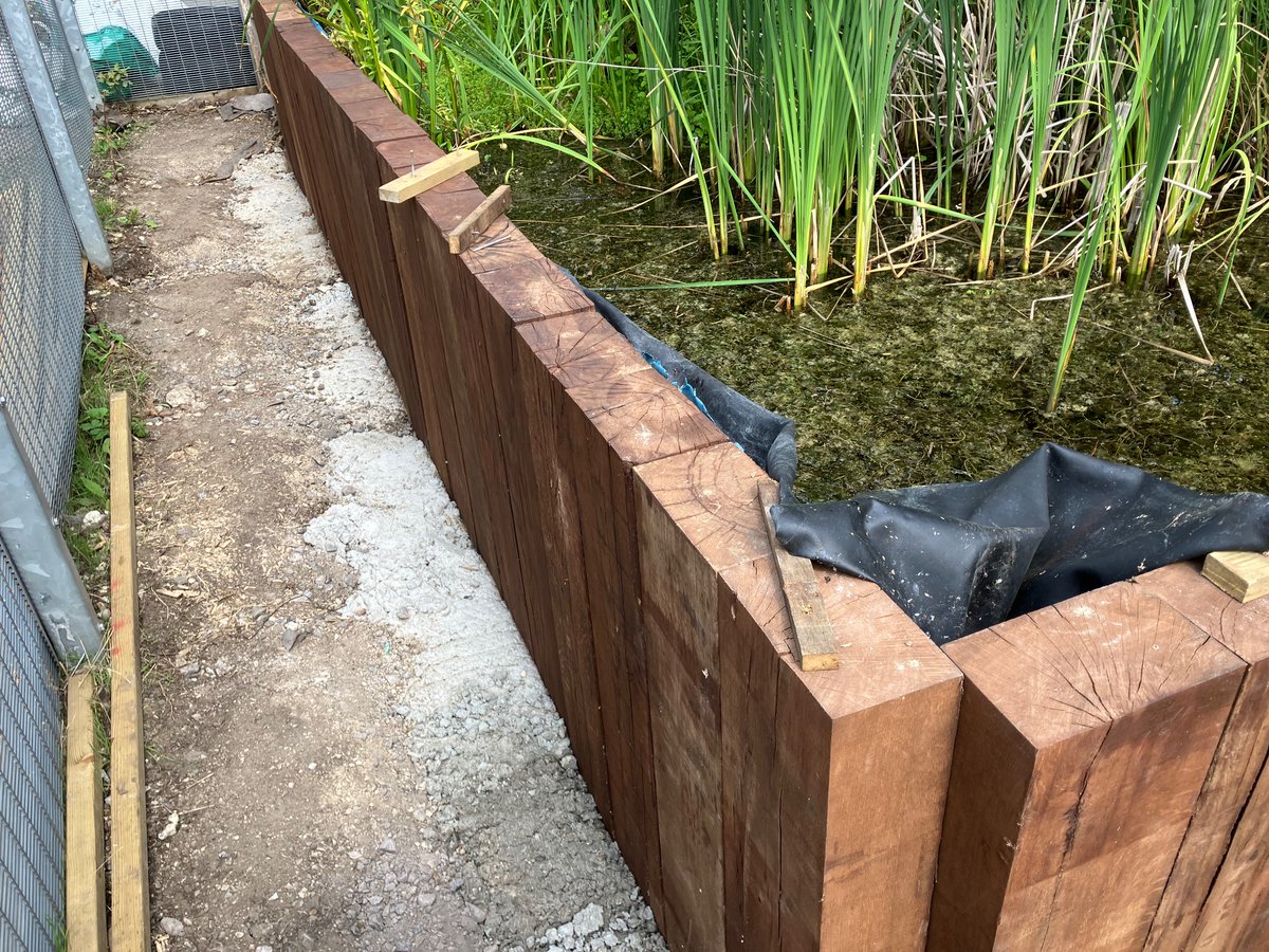 Lambeth TCV tweet media