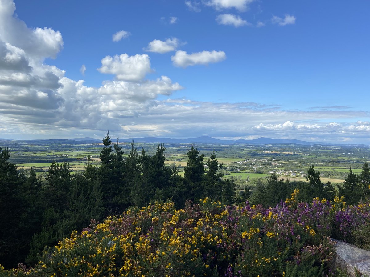 Mag Goldsmith Stamp (@magaboutrunning) on Twitter photo As the saying goes … “making hay while the sun shines” 🌞 with a little visit to the stunning Forth Mountain and Carrigfoyle Lake #Wexford #Walking <a href="/visitwexford/">Visit Wexford</a> <a href="/WexfordTrails/">Wexford Trails</a> <a href="/DiscoverIreland/">Discover Ireland</a> <a href="/ancienteastIRL/">Ireland's Ancient East</a> As the saying goes … “making hay while the sun shines” 🌞 with a little visit to the stunning Forth Mountain and Carrigfoyle Lake #Wexford #Walking <a href="/visitwexford/">Visit Wexford</a> <a href="/WexfordTrails/">Wexford Trails</a> <a href="/DiscoverIreland/">Discover Ireland</a> <a href="/ancienteastIRL/">Ireland's Ancient East</a>