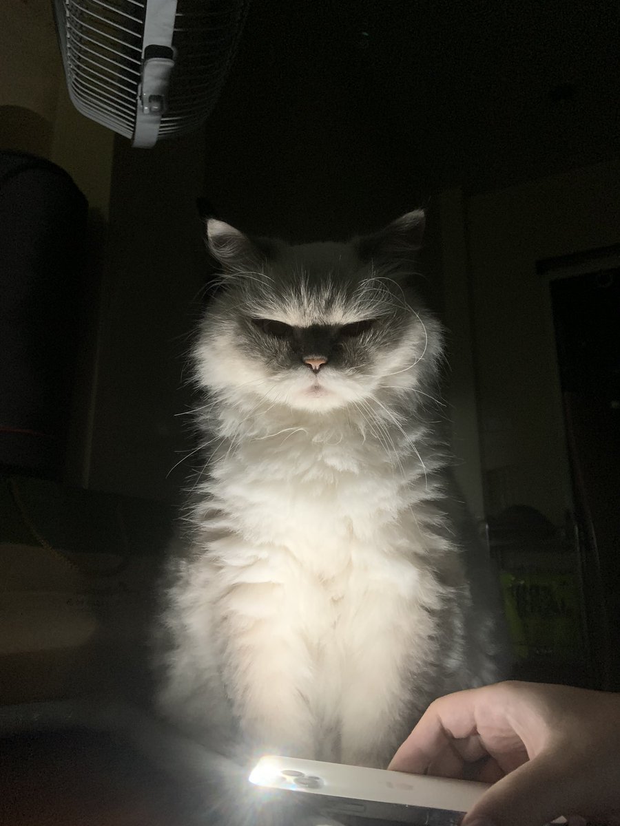 papryys's tweet photo. คืนนี้ระวังกุ๊กกู๋เข้าฝันนะคับ https://t.co/VuN39Zd3FG