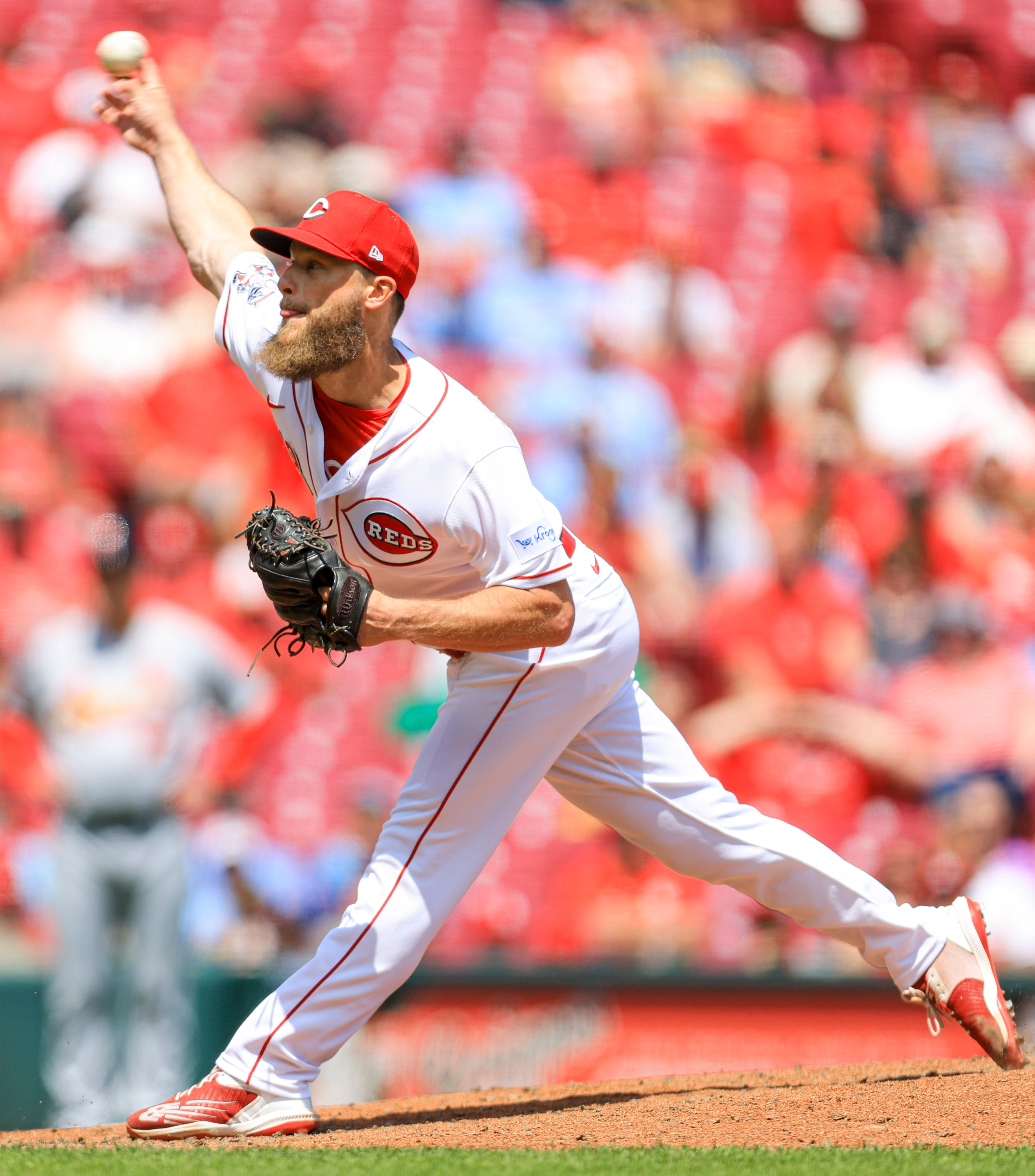 Cincinnati Reds on X: Spring decorating 😤  / X