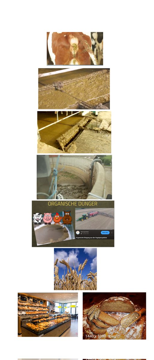 # (@selflesssself) on Twitter photo 