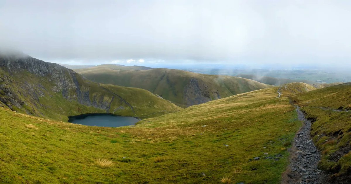 Ellen Ridley tweet media