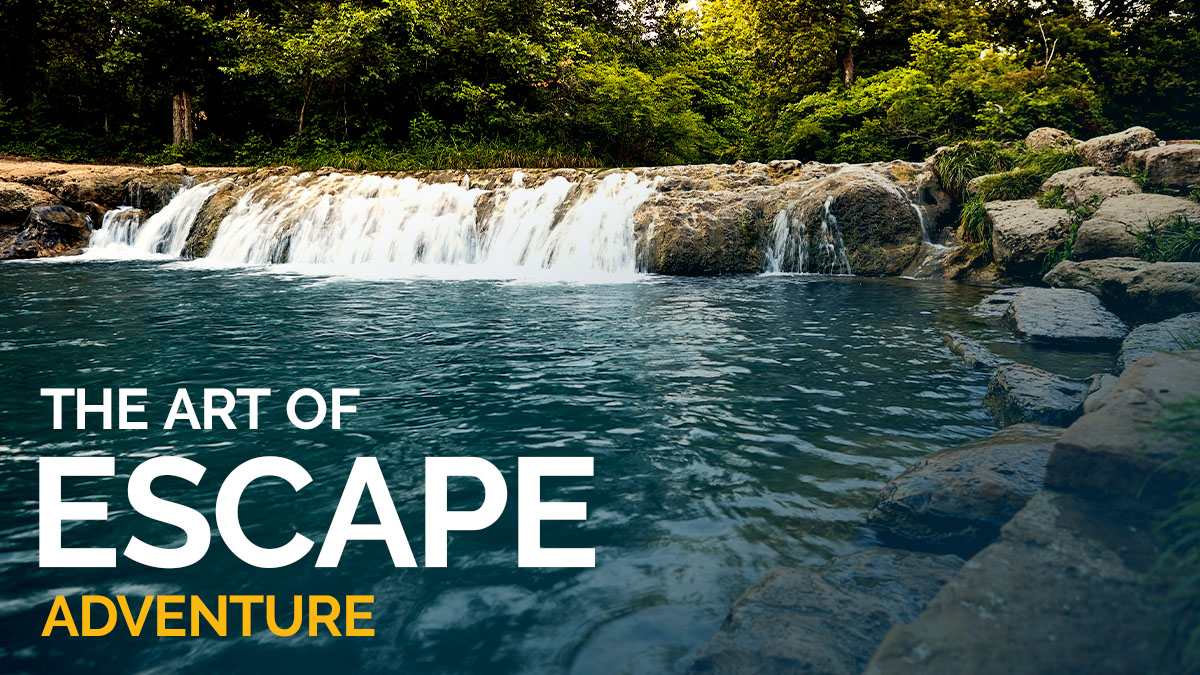 Adventure Road tweet media