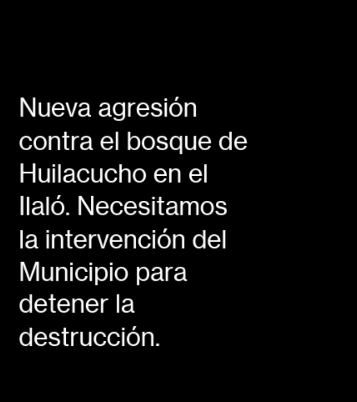 VolcanIlalo's tweet photo. URGENTE! El valle de Huilacucho otra vez en peligro, esta vez por una trocha que se adentra en el bosque nativo más conservado de Tumbaco. @pabelml @ambientequito @Ambiente_ec @CarinaVanceEC @amcquito @WilsonMerinoR @DianaCruzRC5 #Tumbaco #Huilacucho #Ilaló https://t.co/YjG80VOEYl