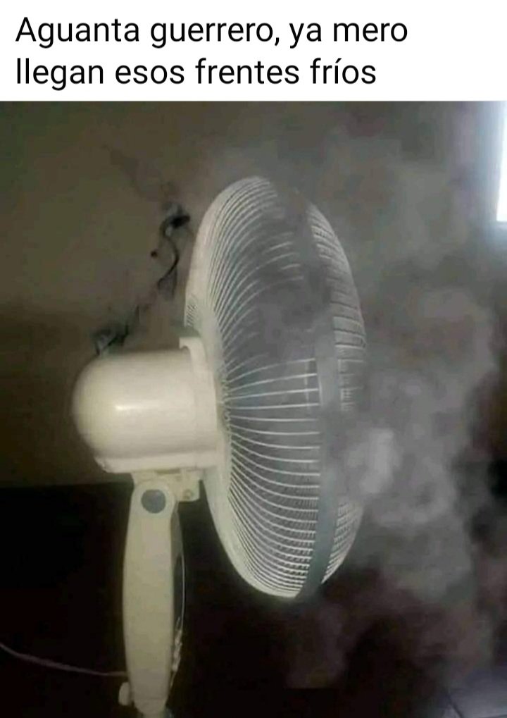 Fernanda_Time's tweet image. 