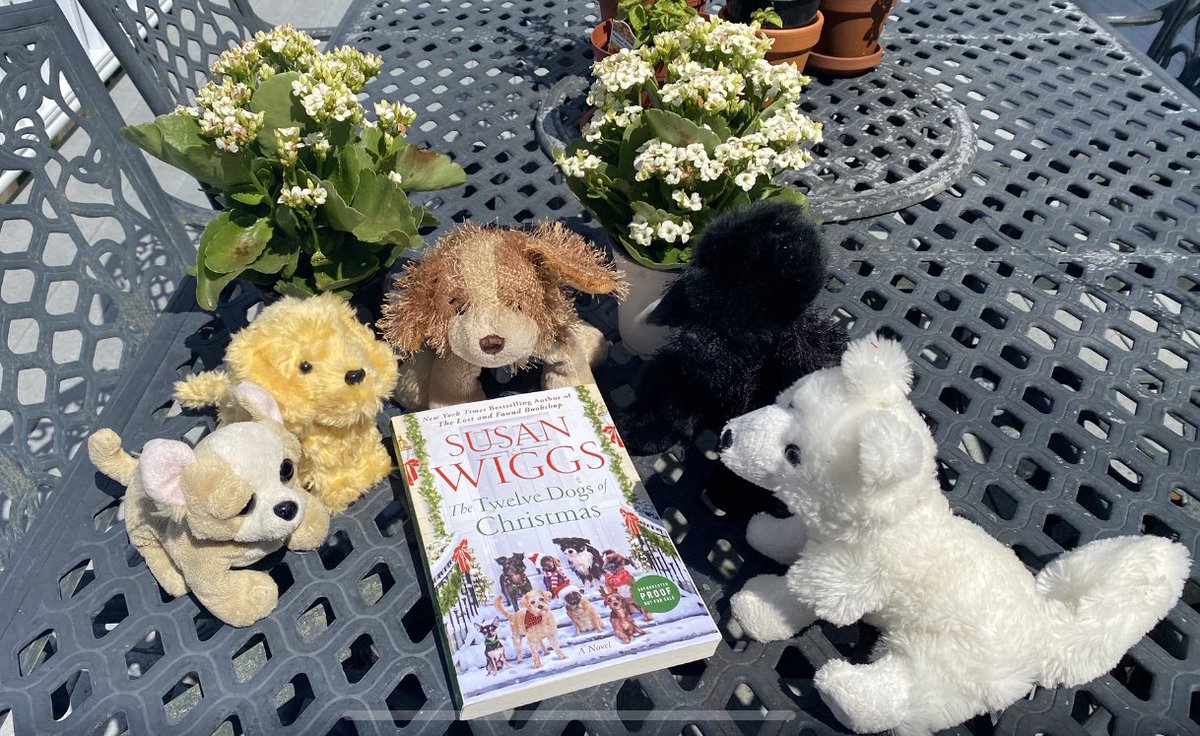 It’s very rare that #BookPosse pauses its #kidlit efforts to share an adult novel, but THE TWELVE DOGS OF CHRISTMAS is an IRRESISTIBLE story! 🥳 Romance, second chances & rescue puppies? Count us in! So happy @susanwiggs shared with us! 🐶💕🥰@WmMorrowBooks #BooksConnectUs 📚💜🐾