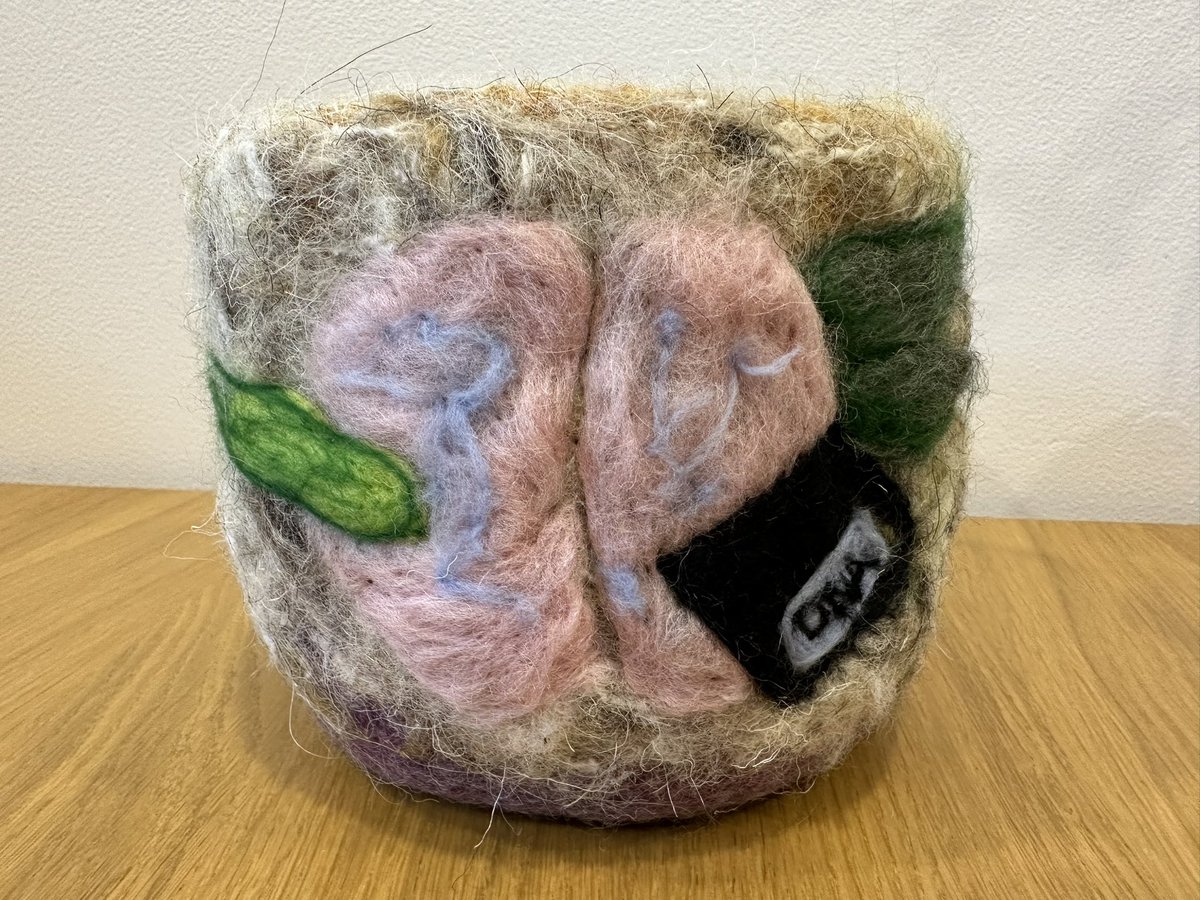 Thomas Gorochowski tweet media