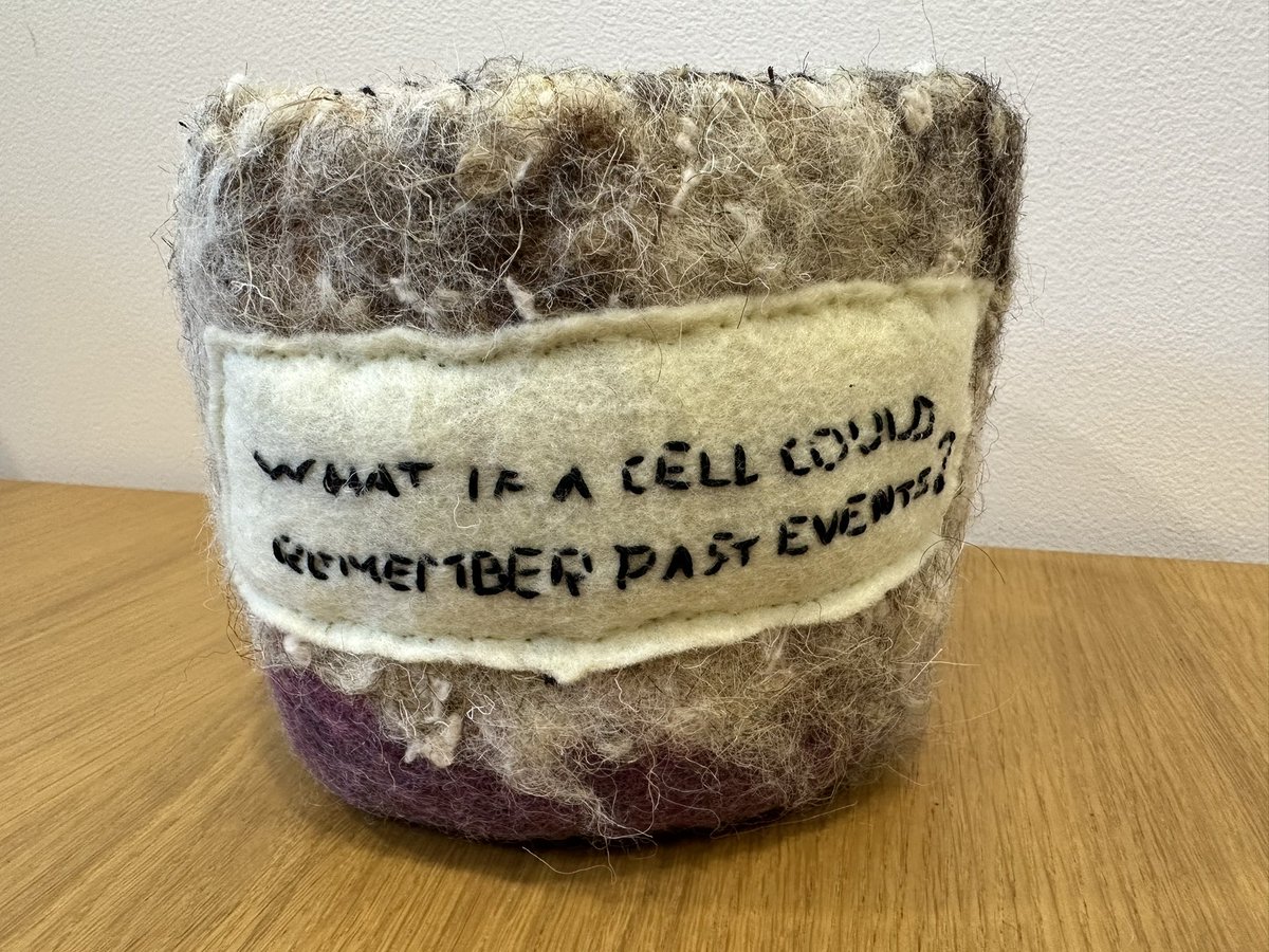 Thomas Gorochowski tweet media