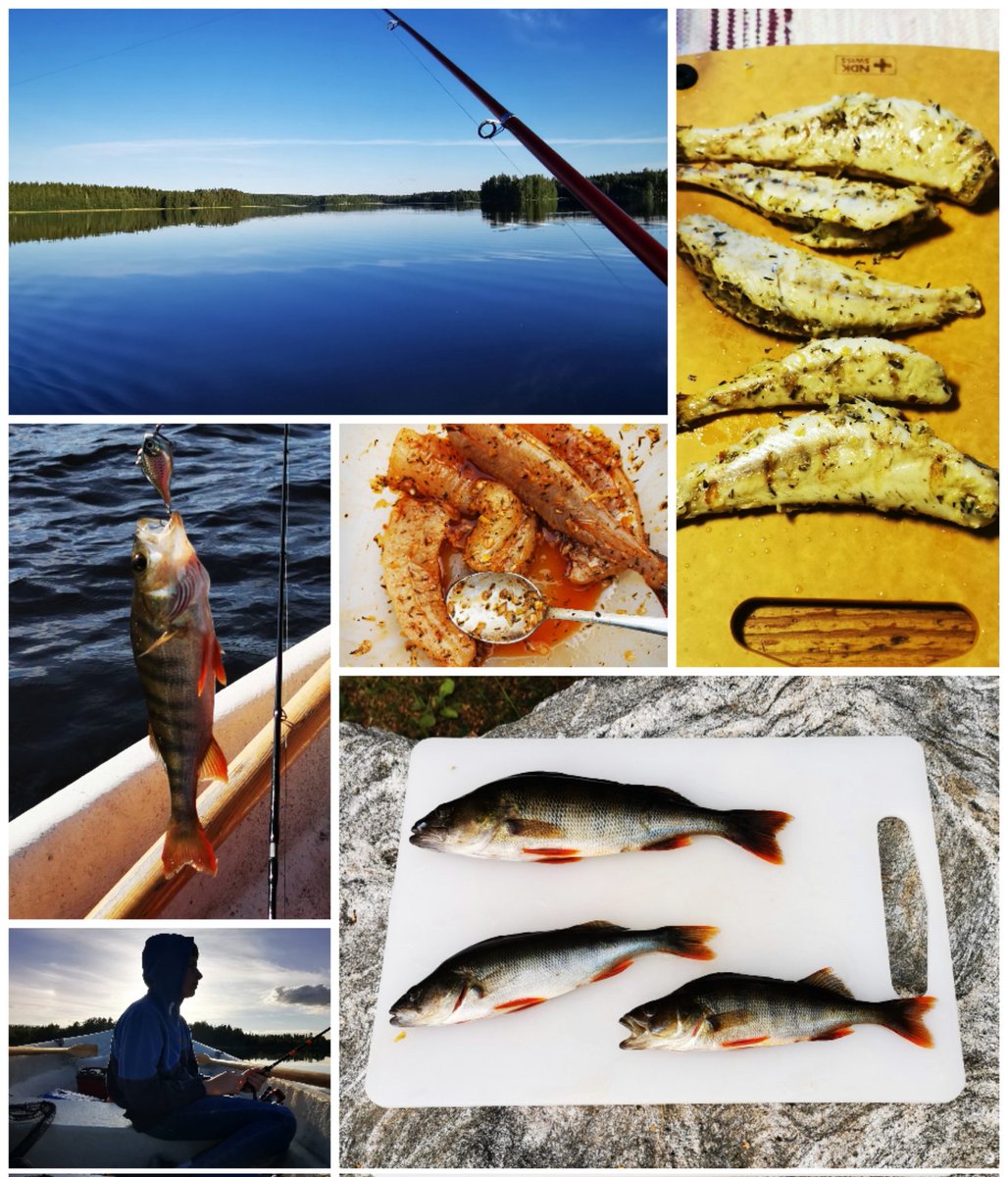 Fishing perches #Petriheil