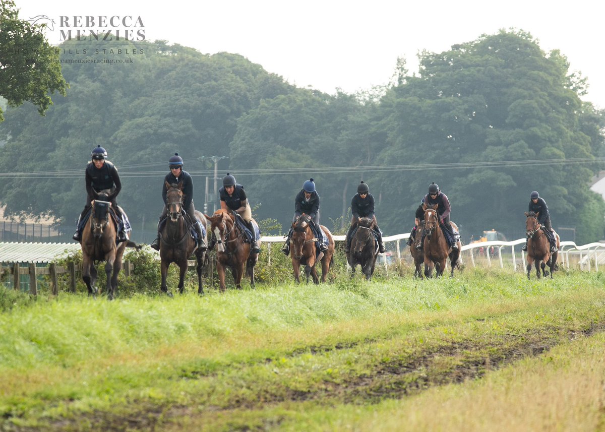 RebeccaEMenzies's tweet image. Busy mornings at Howe Hills #gallops #busy #rebeccamenziesracing #teammenzies #stablelife #horse #racehorse #racehorsephotography #horsetraining #jockey #gallop #horselove #horserider #horseriding