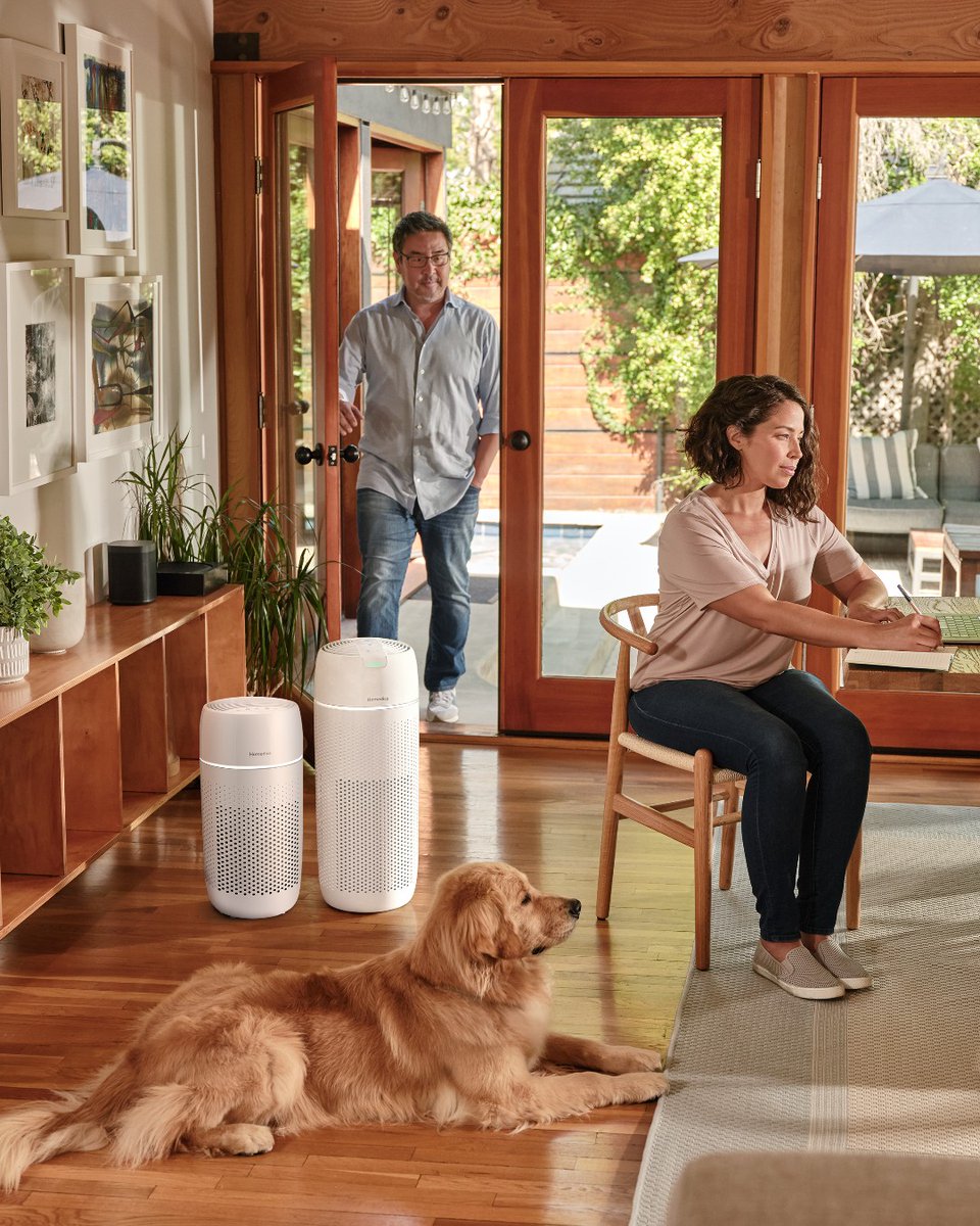 Introducing this season's ultimate home upgrade: Homedics Tower Air Purifiers! 
Breathe easy in style. ✨

#Homedics #AirPurifiers
homedics.com