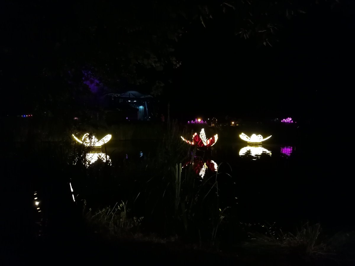 hannah_x7's tweet photo. Es war so wunderschön <3
#DAbeimEWF
#Ewf23 https://t.co/YA7xKcUd5L