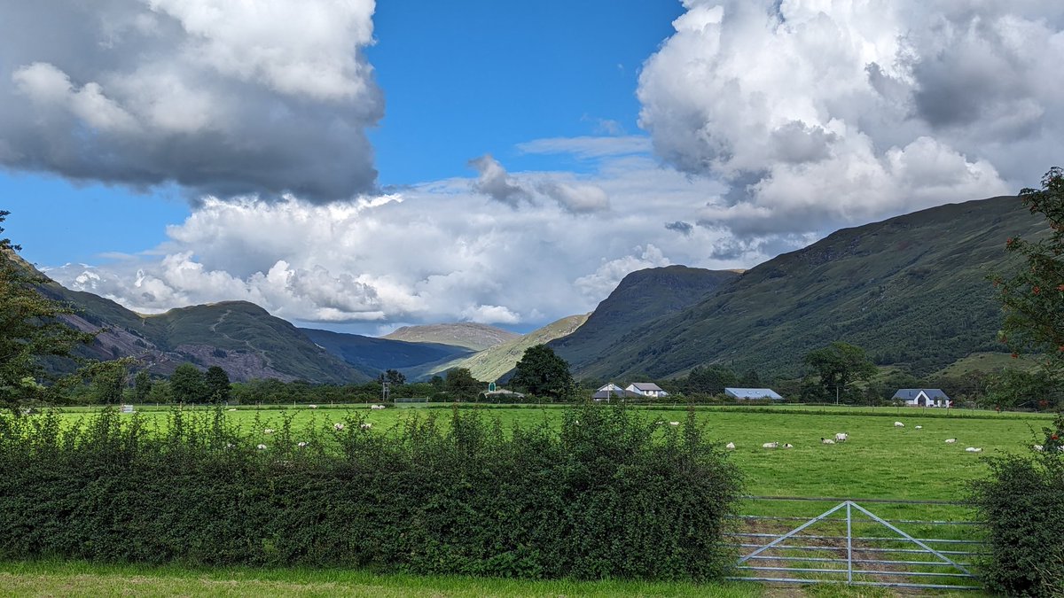 Joe, traveler tweet media