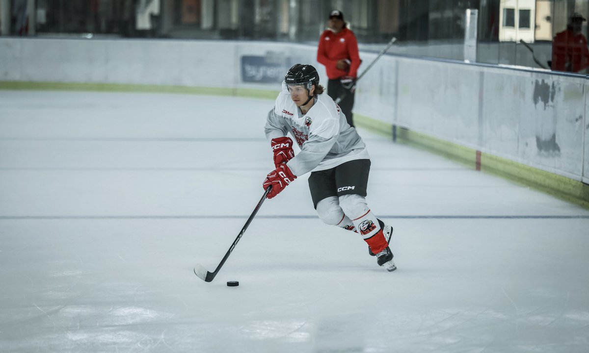 Les Aigles de Nice tweet media