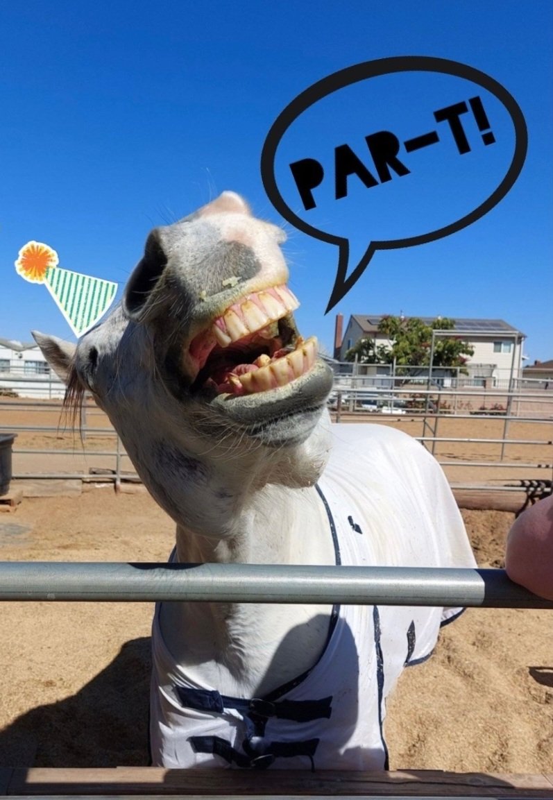 UnicornFarmgirl's tweet image. When the culmination of the last horribly difficult 38 months comes down to 1 email....receiving the best news is always a wonderful way to start the day!! 🎉

#Perseverance #HardWork #PerseverancePaysOff #HardWorkPaysOff #SoGrateful