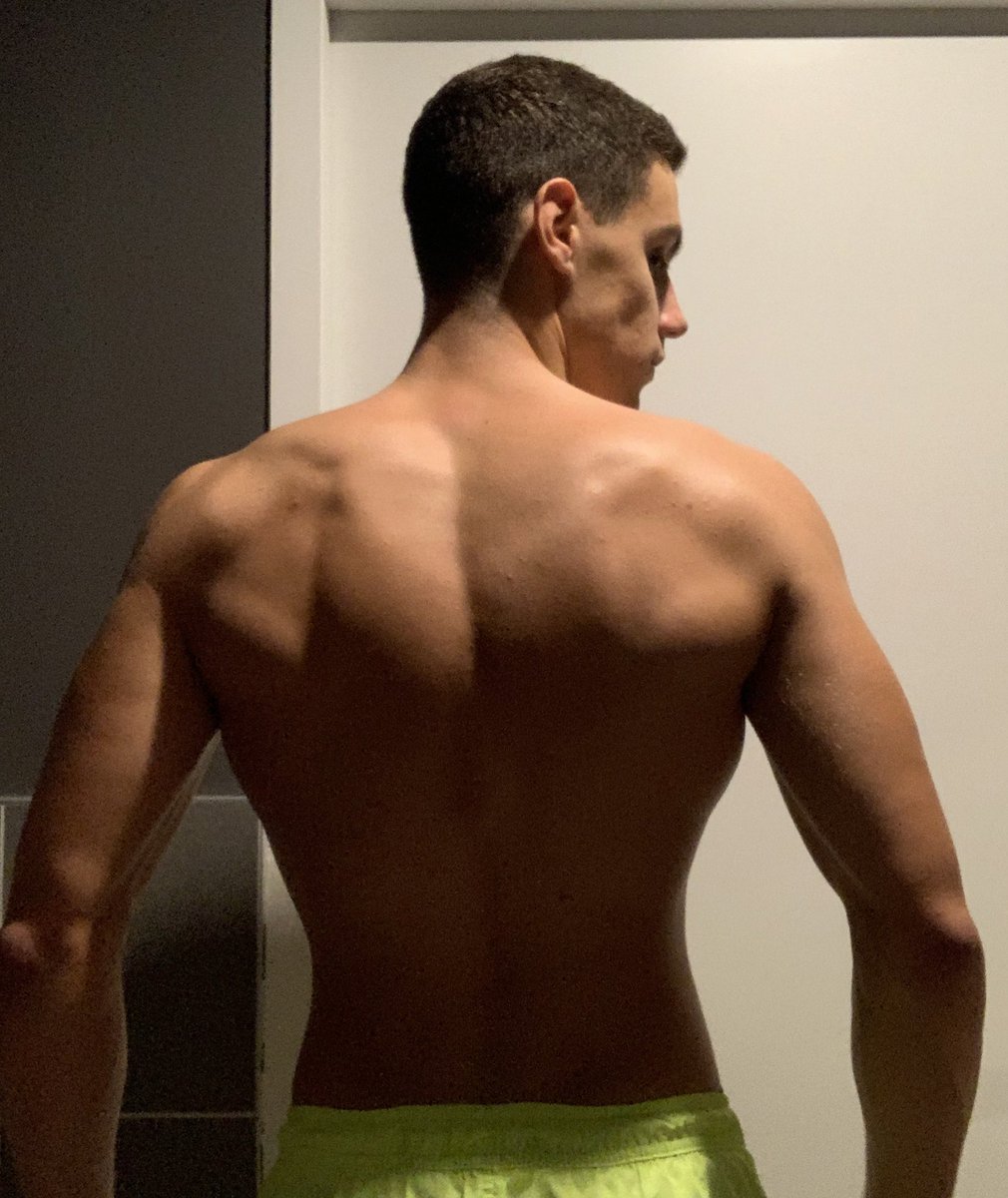 noah_brlt's tweet photo. Fin de la prépa physique pour la saison 2023-2024 de natation : J-18.

Pour l’instant : +3kg en 10 semaines.

Pour les derniers jours : 
-maintien des 5 muscu par semaine (force/explosivité) et ajout de 3 séances cardio (vélo et rameur) pour anticiper la reprise de la natation. https://t.co/JQPmtxZtXp