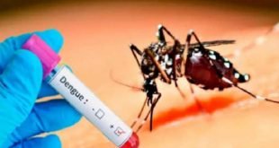 Es preciso ganársela primero al mosquito Aedes aegypti, con más maña que recursos, en una campaña donde la familia decide a favor de su propia salud. 
#CubaPorLaSalud #SanctiSpíritusEnMarcha <a href="/DiazCanelB/">Miguel Díaz-Canel Bermúdez</a> <a href="/DrRobertoMOjeda/">Dr. Roberto Morales Ojeda</a> <a href="/MEspirituana/">@MariposaEspirituana</a> @Alexi