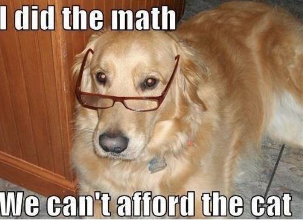 Doggo Tweets tweet media