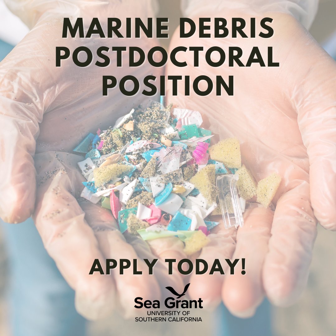 USC Sea Grant (@uscseagrant) on Twitter photo We're hiring!📣 USC Sea Grant and <a href="/USCWrigley/">Wrigley Institute for Environment & Sustainability</a> are seeking a Marine Debris Postdoctoral Fellow to lead collaborative research & policy efforts to support the prevention, removal, & management of microplastics in urban coastal areas.
Learn more & apply at: dornsife.usc.edu/uscseagrant/ma… We're hiring!📣 USC Sea Grant and <a href="/USCWrigley/">Wrigley Institute for Environment & Sustainability</a> are seeking a Marine Debris Postdoctoral Fellow to lead collaborative research & policy efforts to support the prevention, removal, & management of microplastics in urban coastal areas.
Learn more & apply at: dornsife.usc.edu/uscseagrant/ma…