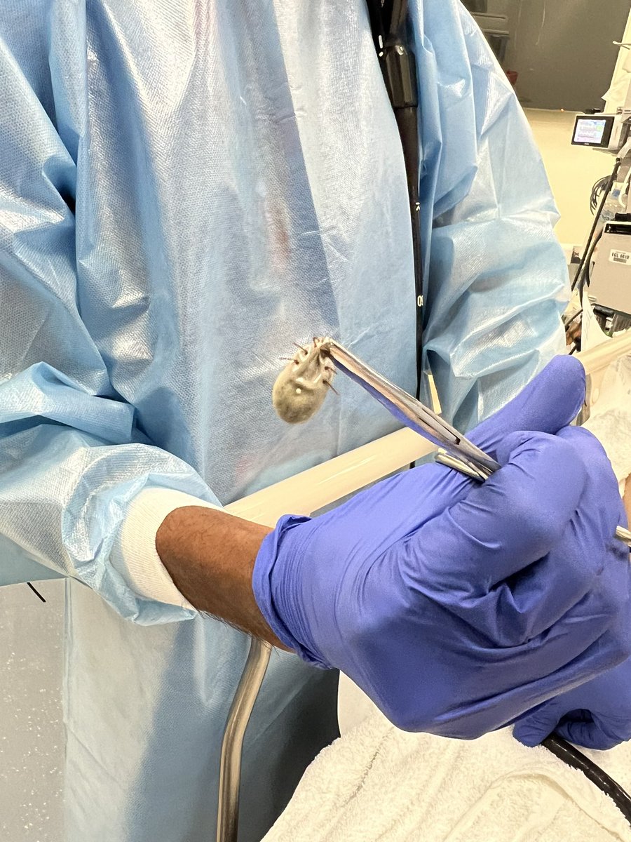 Abel Joseph tweet media