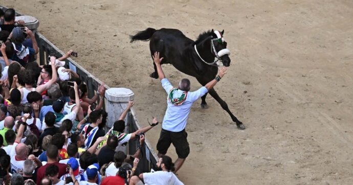 Zio Frac è leggenda
#PaliodiSiena