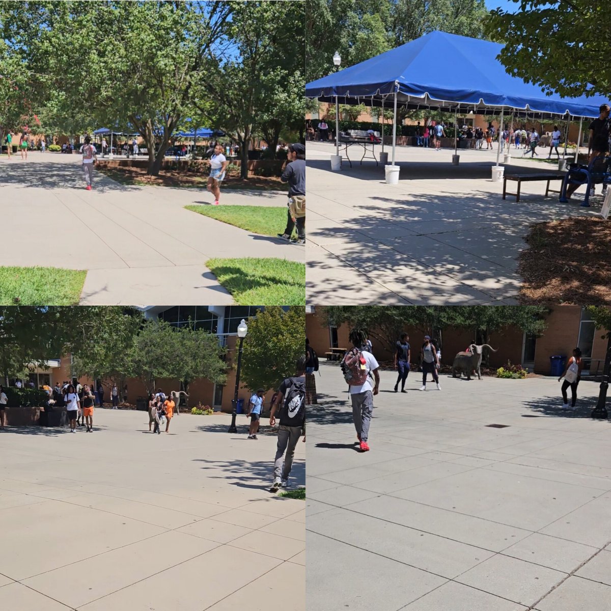 Chi-Emeke Worthington tweet media