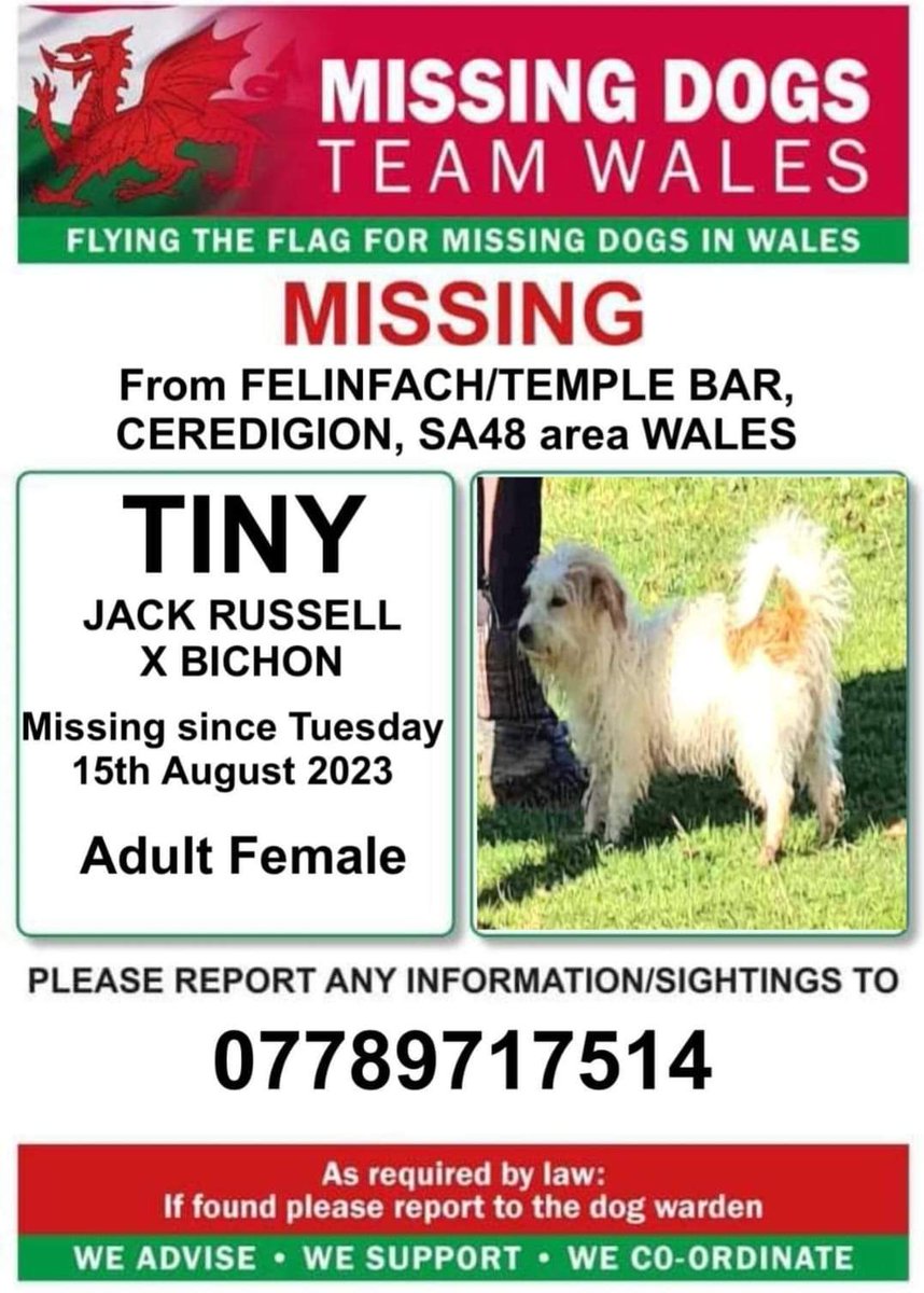 #Missing #lostdog #lostpets #Felinfach #TempleBar #Ceredigion #SA48 area #Wales 🏴󠁧󠁢󠁷󠁬󠁳󠁿 #TeamWales 🏴󠁧󠁢󠁷󠁬󠁳󠁿 🏴󠁧󠁢󠁷󠁬󠁳󠁿 🏴󠁧󠁢󠁷󠁬󠁳󠁿 facebook.com/groups/1919091…