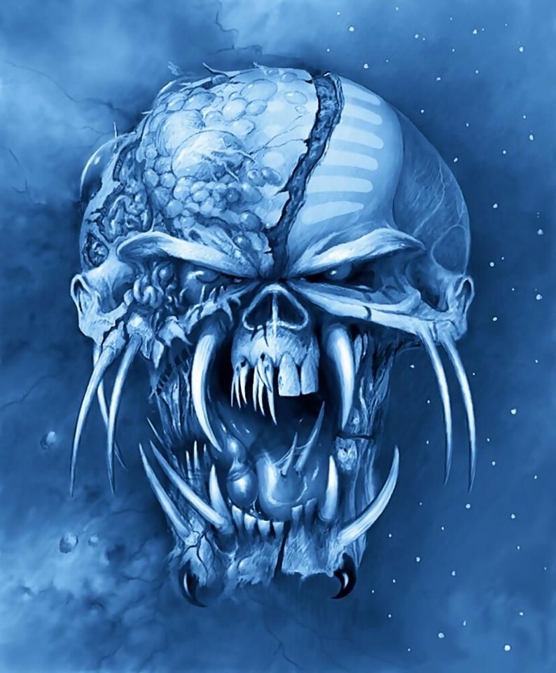 josema_obes's tweet image. 13 años hoy 
#FinalFrontier 
#IronMaiden