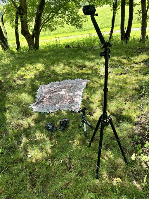In my  Cottagec(𝖂𝖍)𝖔𝖗𝖊 era https://t.co/5vfIvhkIcI
