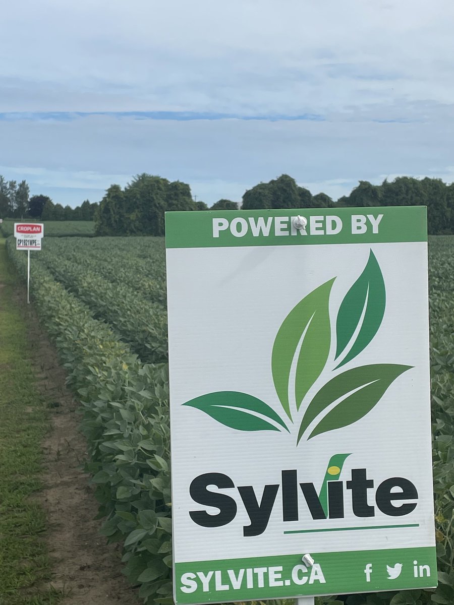 Alan Sheppard (@al_shep10) on Twitter photo Nice sunny day to be touring the countryside and putting up some field signs!
<a href="/SylviteAg/">Sylvite</a> <a href="/BrevantSeedsCA/">Brevant seeds Canada</a> <a href="/CROPLANseed/">CROPLAN_North</a> Nice sunny day to be touring the countryside and putting up some field signs!
<a href="/SylviteAg/">Sylvite</a> <a href="/BrevantSeedsCA/">Brevant seeds Canada</a> <a href="/CROPLANseed/">CROPLAN_North</a>