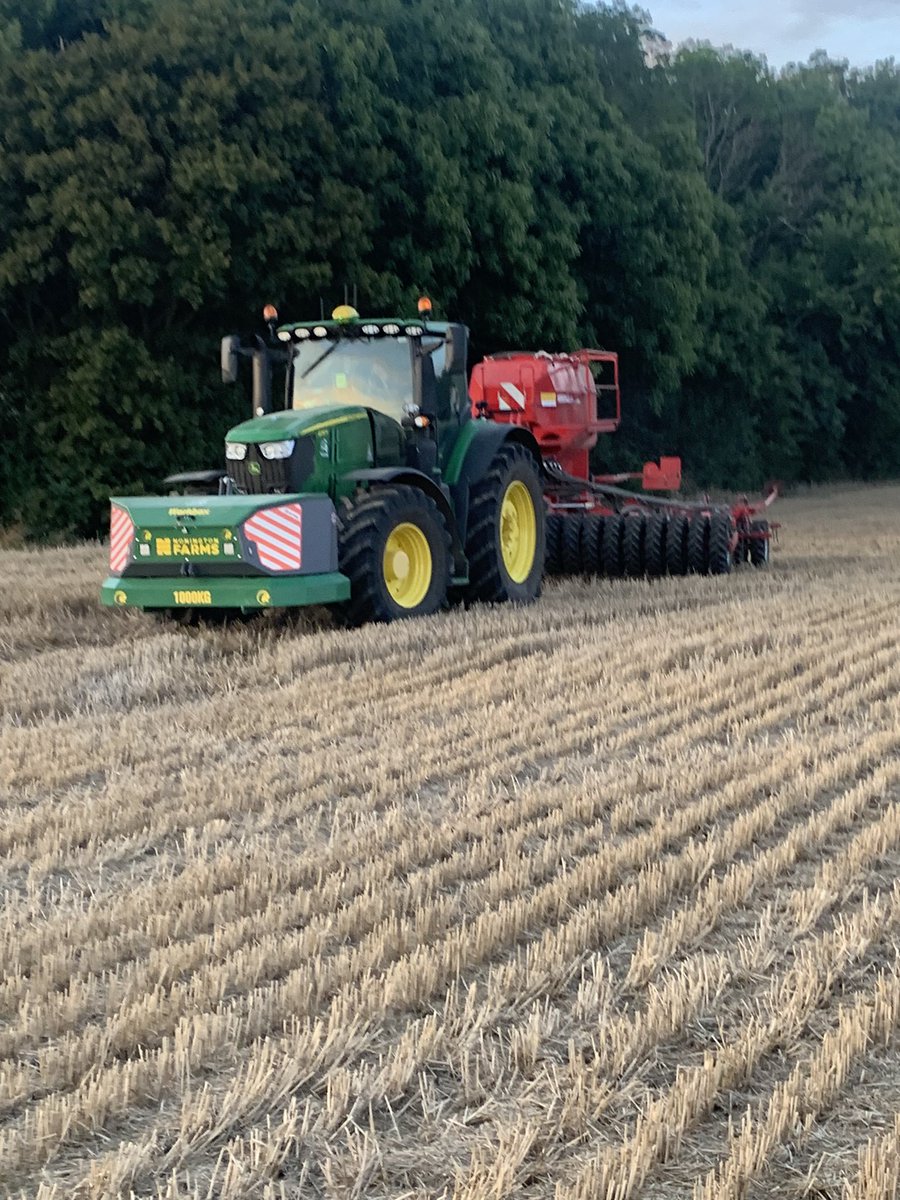 OSR going in nicely with a companion crop of berseem clover, fenugreek and phacelia.