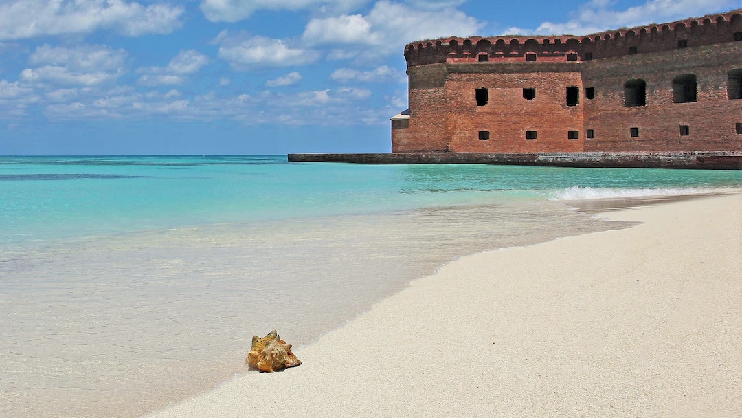 Explore the wonders of Dry Tortugas National Park, a remote paradise off Key West. Crystal-clear waters, historic Fort Jefferson, and vibrant marine life make this destination an adventurer's dream.🏝️🌊 #DryTortugas #IslandAdventure #FortJefferson #IslandEscape #KeyWestExcursion