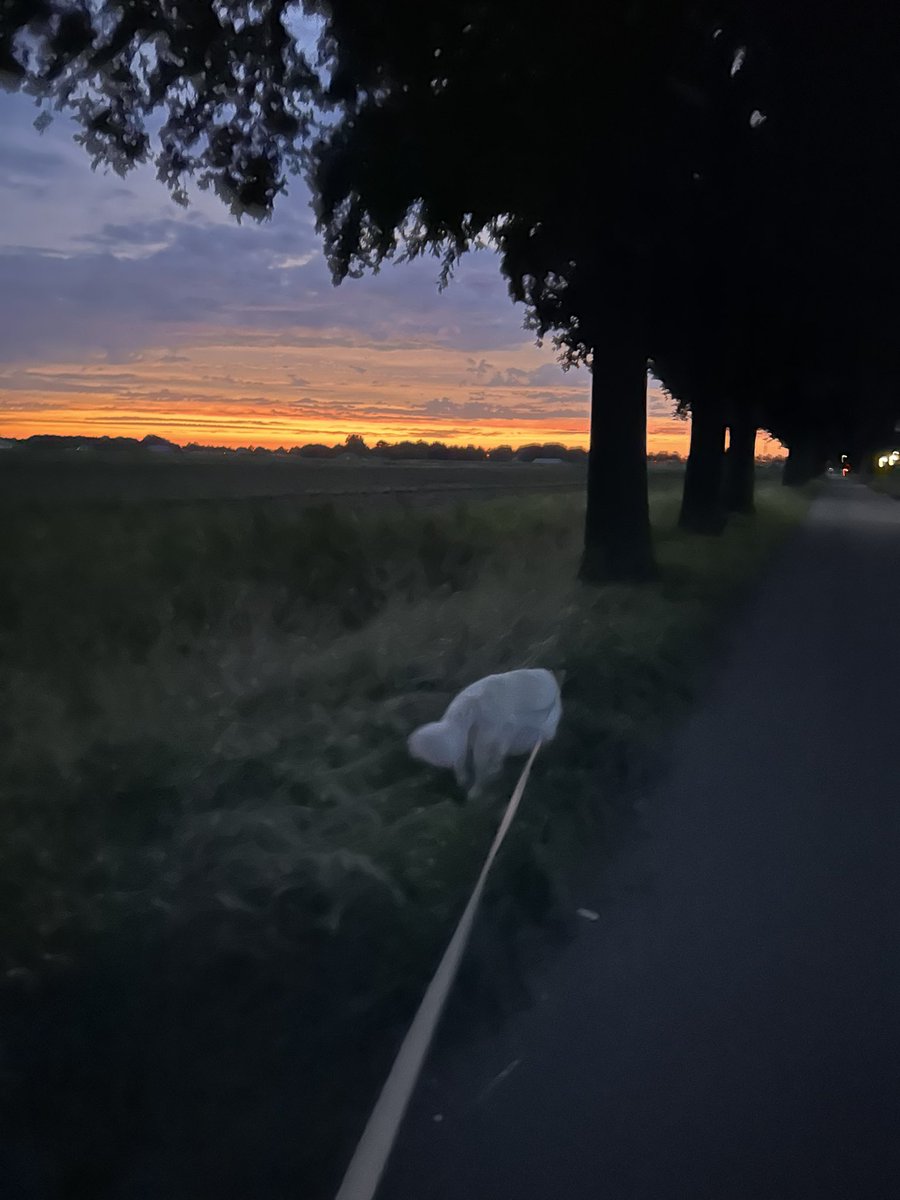Zo mooi dit!