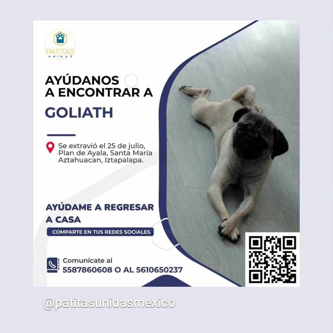 MaferAlba28's tweet photo. Este perrito lleva semanas perdido, ayúdenos a encontrarlo ESTA EN TRATAMIENTO DE SU OJO Y NECESITA ATENCION. Difundan por favor
Muchas gracias por ayudarnos a qué regrese a casa
@PrrosPerdidosMX #perrosperdidoscdmx #Iztapalapa #perrosperdidos https://t.co/Rp5eqkfMbq