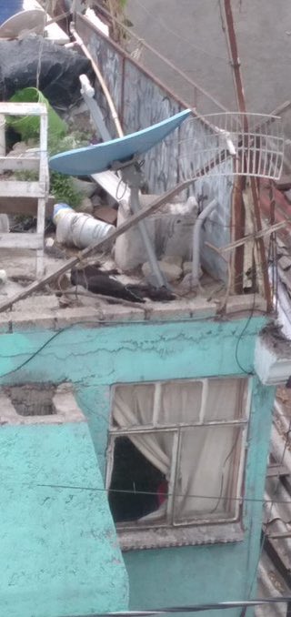 🆘 Amigos, urge ayuda para estos peluditos, sus dueños los dejan en la azotea y ni agua les dan, tienen que beber de la ropa que suben a colgar
Y se está haciendo la denuncia correspondiente