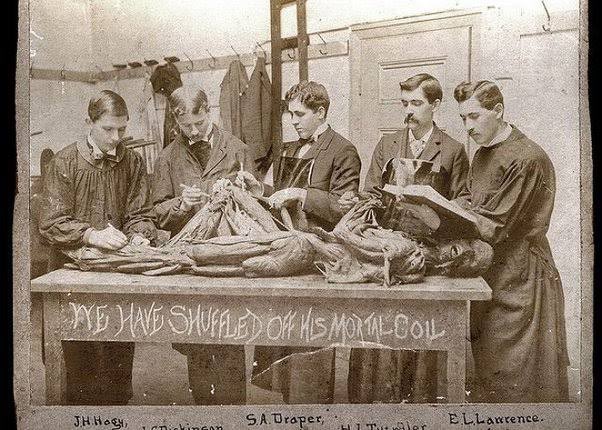 Joe__Bassey's tweet image. Around the  12th Century, Europeans had been eating Egyptian mummies as medicine.

The mummified remains of many of the Black indigenous Kemetyu were eaten by Europeans because they believed it could give them both healing and enhanced powers.

Many of the black mummies were an…