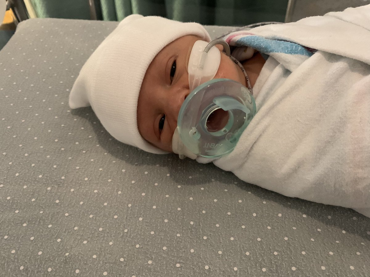 MontieMaddy's tweet photo. I really gave birth to the most handsome baby🩵 https://t.co/7zgYUE0lf5