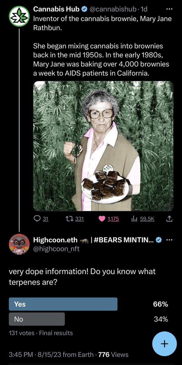 highcoonvibes's tweet photo. We continue to raid X’s to see how much people know about terpenes 🦝
Join #highcoon & #fightstigma by learning about terpenes while playing fun games in Spatial 😮💨
#Highvibes 🍃 #stigmaisreal https://t.co/rS0XiuDAxj