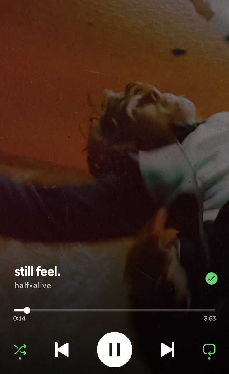sollessmachine's tweet photo. It’s my birthday! These songs have been living in my head rent free https://t.co/cVQo2K6juS