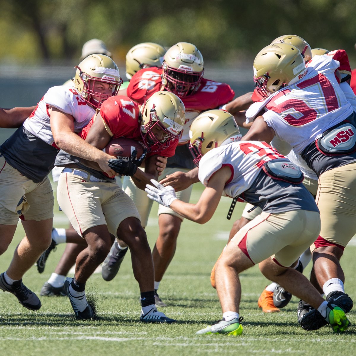 MSU Mustangs tweet media