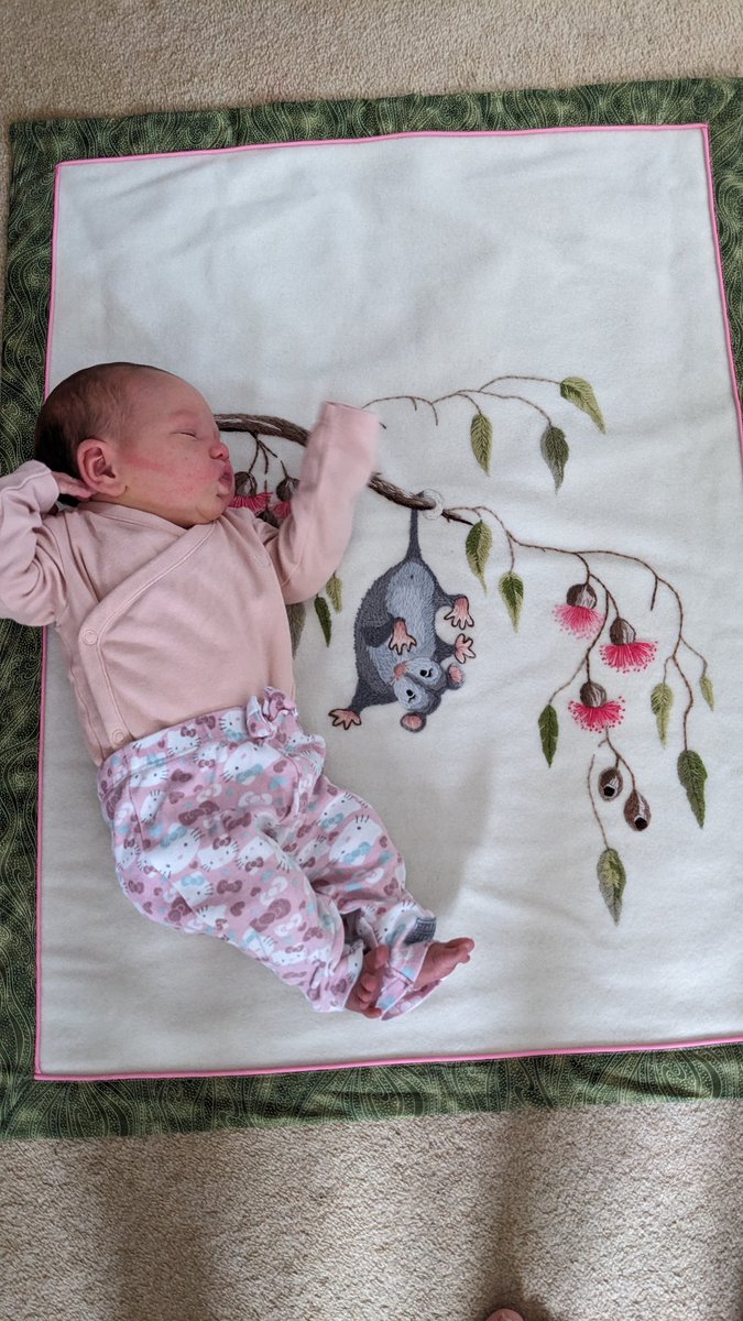 Claire Housley tweet media